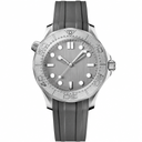 Diver style watch with gray dial, silver bezel, and gray rubber strap