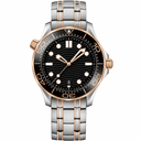Two-Tone Diver Style Watch 42mm with black dial and metal bracelet product photo