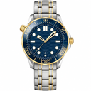 42mm two-tone metal dive watch with blue dial and date window.